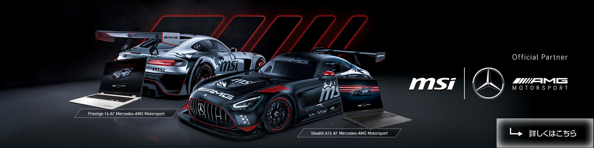 AMG2025 